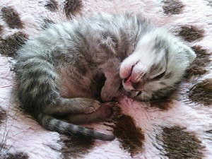 ȋȑqZ 238rڔLKCWuX [f]ڋ֎~]©bbspink.com	->摜>3749 