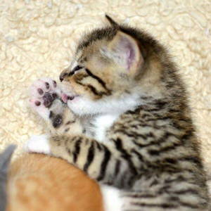 ȋȑqZ 238rڔLKCWuX [f]ڋ֎~]©bbspink.com	->摜>3749 