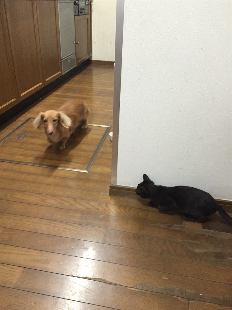 f:id:emikana:20151008102733j:image f:id:emikana:20151008102733j:image