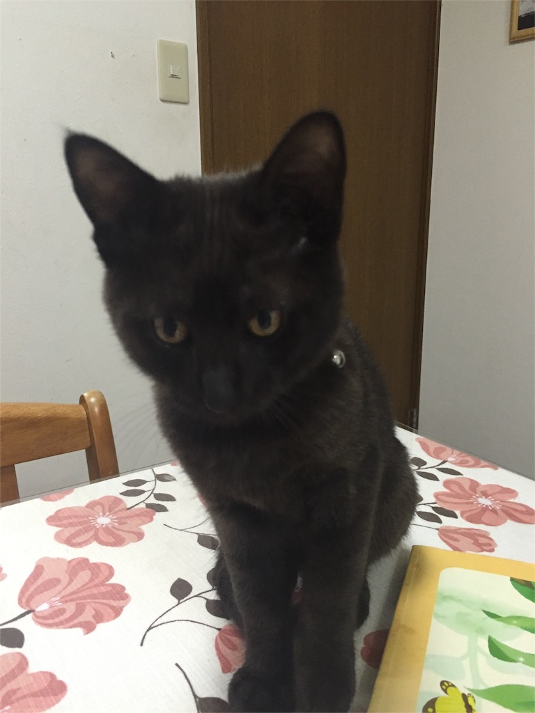 f:id:emikana:20151023093446j:image f:id:emikana:20151023093446j:image