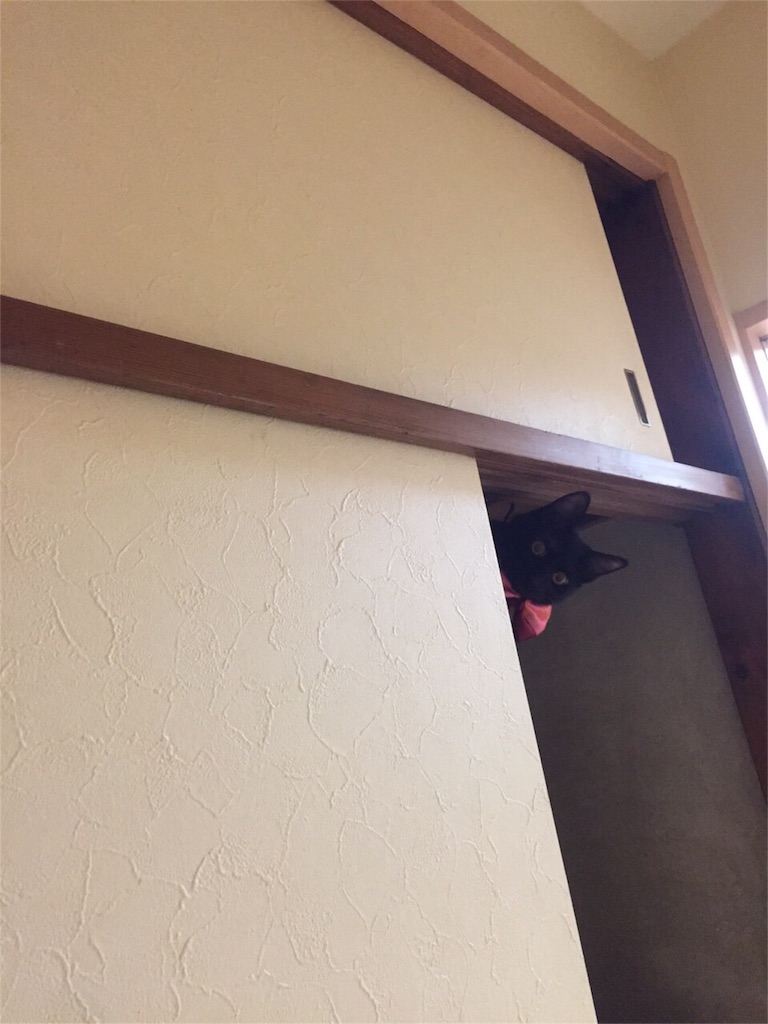 f:id:emikana:20160103195923j:image f:id:emikana:20160103195923j:image