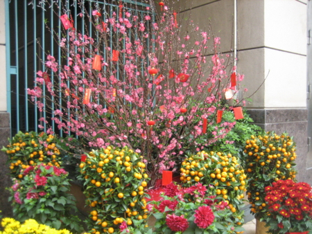 f:id:emileung:20100209125019j:image f:id:emileung:20100209125019j:image