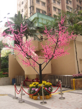 f:id:emileung:20100209170026j:image f:id:emileung:20100209170026j:image