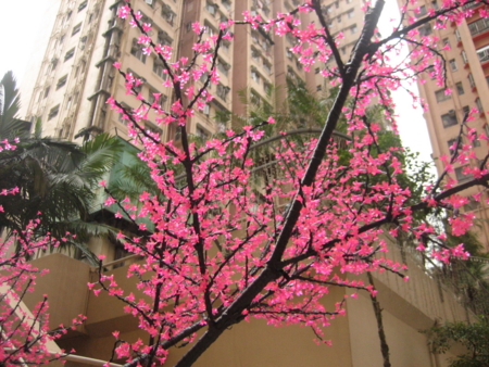 f:id:emileung:20100209170035j:image f:id:emileung:20100209170035j:image