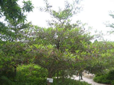 f:id:emileung:20100421150809j:image f:id:emileung:20100421150809j:image