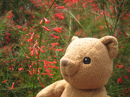 f:id:emileung:20100421152929j:image f:id:emileung:20100421152929j:image