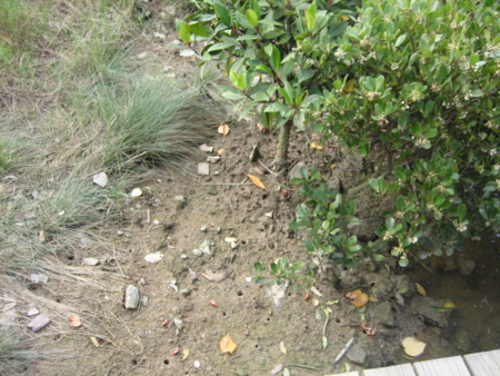 f:id:emileung:20100421154454j:image f:id:emileung:20100421154454j:image