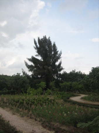 f:id:emileung:20100421155851j:image f:id:emileung:20100421155851j:image