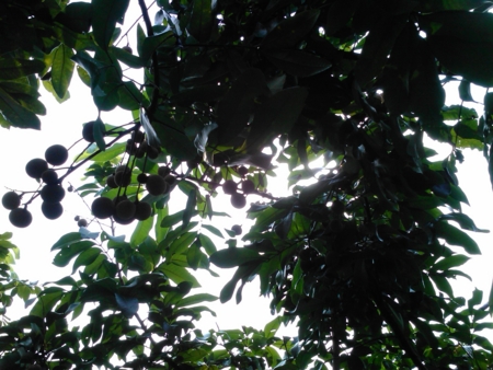 f:id:emileung:20100808152917j:image f:id:emileung:20100808152917j:image