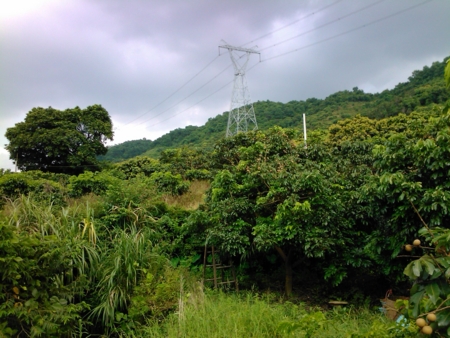 f:id:emileung:20100808154137j:image f:id:emileung:20100808154137j:image