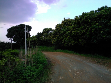 f:id:emileung:20100808160402j:image f:id:emileung:20100808160402j:image