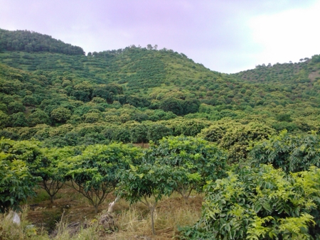 f:id:emileung:20100808160445j:image f:id:emileung:20100808160445j:image