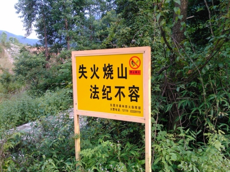 f:id:emileung:20100808163848j:image f:id:emileung:20100808163848j:image