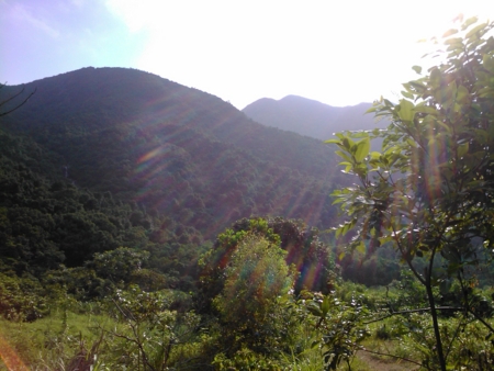 f:id:emileung:20100808164058j:image f:id:emileung:20100808164058j:image