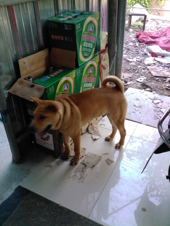f:id:emileung:20100808175942j:image f:id:emileung:20100808175942j:image