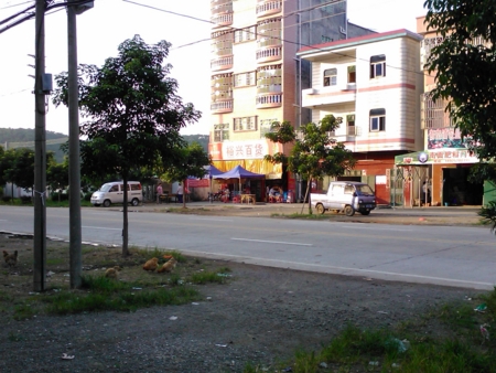 f:id:emileung:20100808180555j:image f:id:emileung:20100808180555j:image