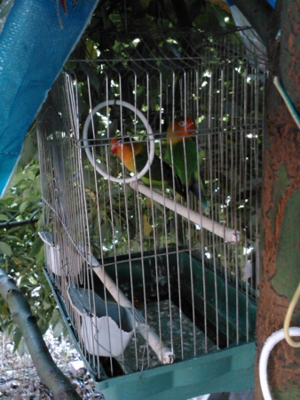 f:id:emileung:20100808180716j:image f:id:emileung:20100808180716j:image