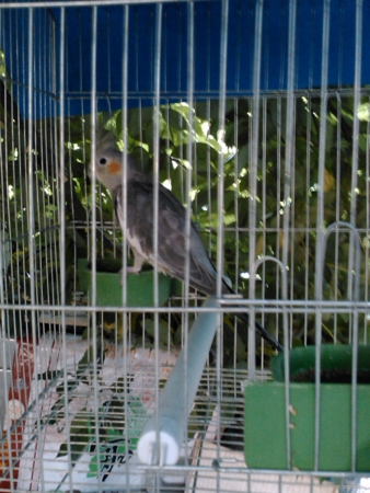 f:id:emileung:20100808180737j:image f:id:emileung:20100808180737j:image