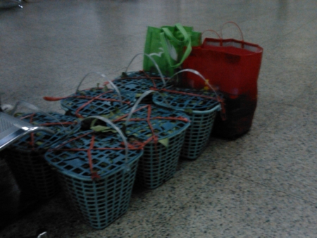 f:id:emileung:20100808204228j:image f:id:emileung:20100808204228j:image