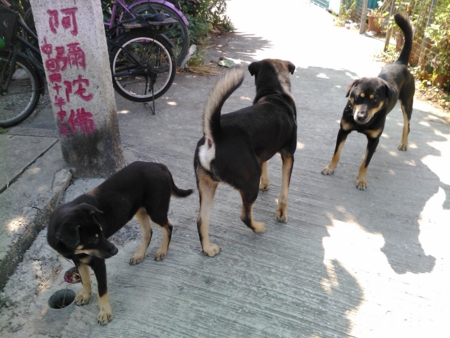 f:id:emileung:20101029111549j:image f:id:emileung:20101029111549j:image