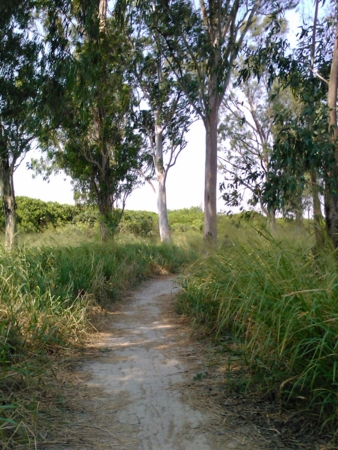 f:id:emileung:20101029112429j:image f:id:emileung:20101029112429j:image
