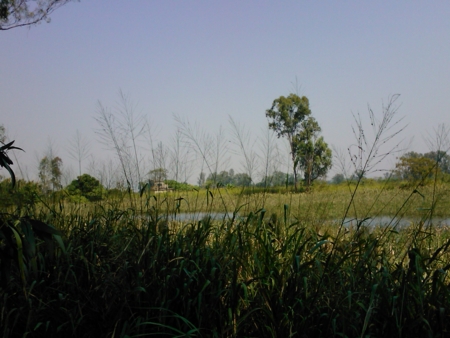 f:id:emileung:20101029113722j:image f:id:emileung:20101029113722j:image