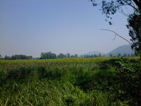 f:id:emileung:20101029114636j:image f:id:emileung:20101029114636j:image