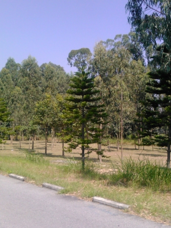 f:id:emileung:20101029115213j:image f:id:emileung:20101029115213j:image