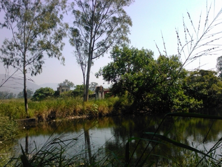 f:id:emileung:20101029121914j:image f:id:emileung:20101029121914j:image