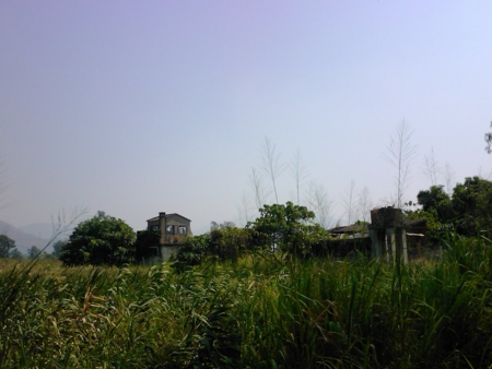 f:id:emileung:20101029122005j:image f:id:emileung:20101029122005j:image