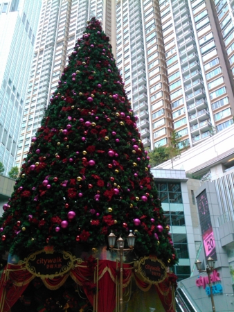 f:id:emileung:20101120112931j:image f:id:emileung:20101120112931j:image