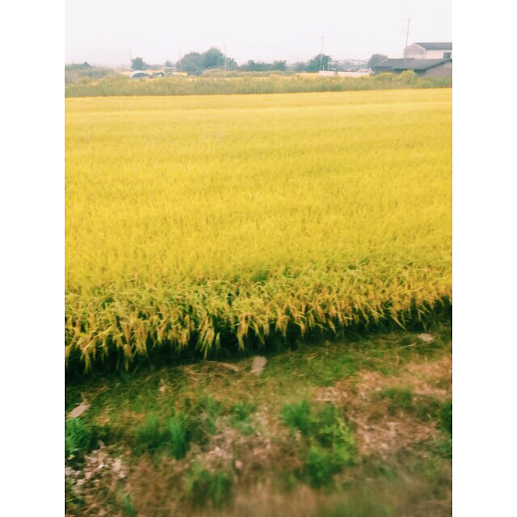 f:id:emincoo:20151010094957p:image f:id:emincoo:20151010094957p:image