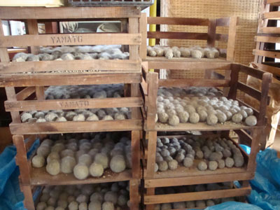 f:id:emtown:20120508071956j:plain