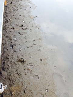 f:id:emtown:20140721092649j:plain