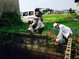 f:id:emtown:20140721094712j:plain