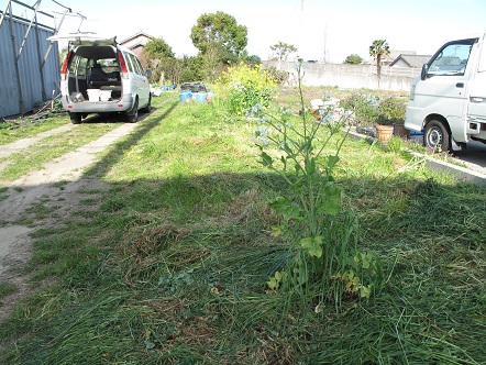 f:id:emtown:20160326083327j:plain f:id:emtown:20160326083327j:plain