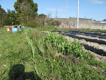 f:id:emtown:20160326084044j:plain f:id:emtown:20160326084044j:plain