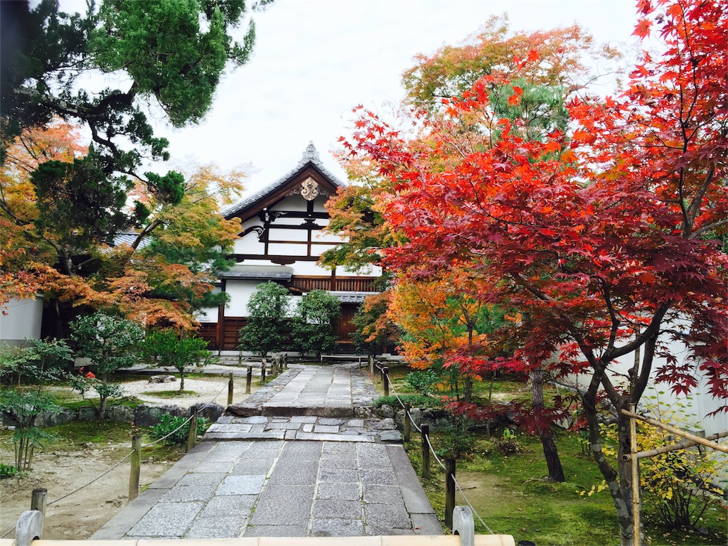 f:id:emu-late:20151124102834j:image f:id:emu-late:20151124102834j:image