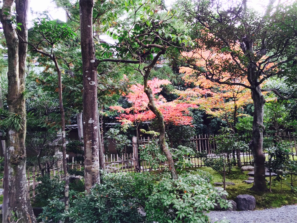 f:id:emu-late:20151124103007j:image f:id:emu-late:20151124103007j:image