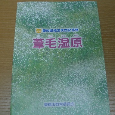 f:id:emukobb:20130618221325j:plain