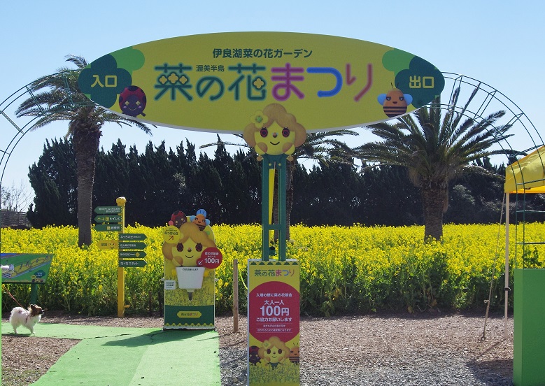 f:id:emukobb:20160208140946j:plain f:id:emukobb:20160208140946j:plain