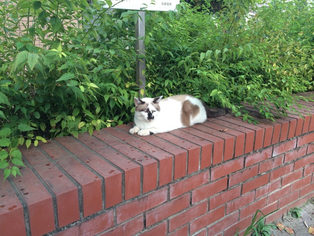 f:id:enchosu:20140907160455j:plain