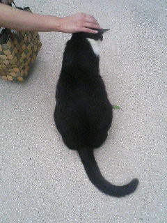 f:id:end0tknr:20080524145753j:image