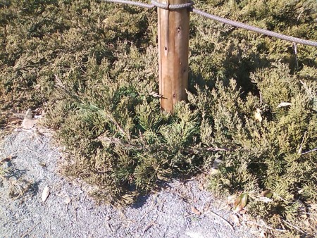 f:id:end0tknr:20120219141100j:image