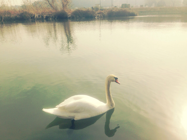f:id:endchip:20130202215551j:plain f:id:endchip:20130202215551j:plain