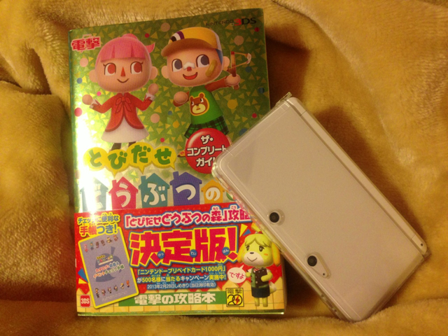 f:id:endchip:20130219012715j:plain f:id:endchip:20130219012715j:plain