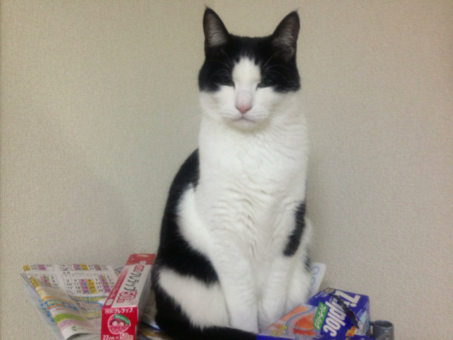 f:id:endchip:20130311235215j:plain f:id:endchip:20130311235215j:plain