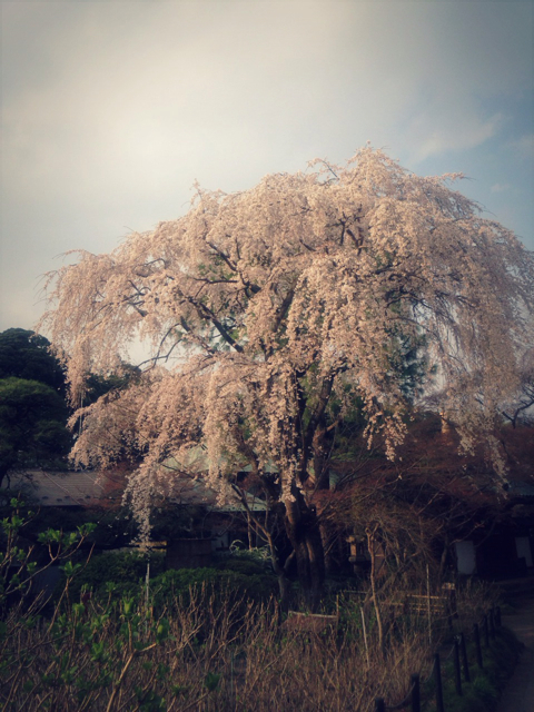 f:id:endchip:20130324202045j:plain f:id:endchip:20130324202045j:plain