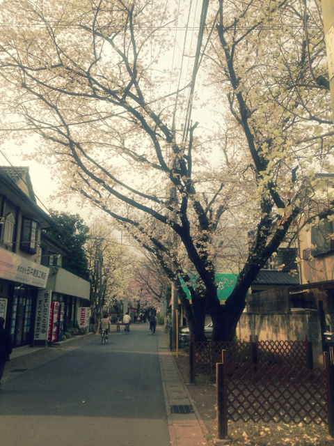 f:id:endchip:20130324202106j:plain f:id:endchip:20130324202106j:plain