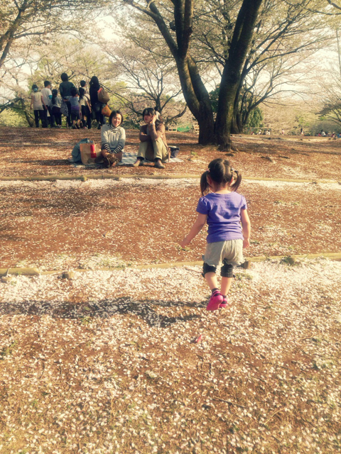 f:id:endchip:20130404233754j:plain f:id:endchip:20130404233754j:plain